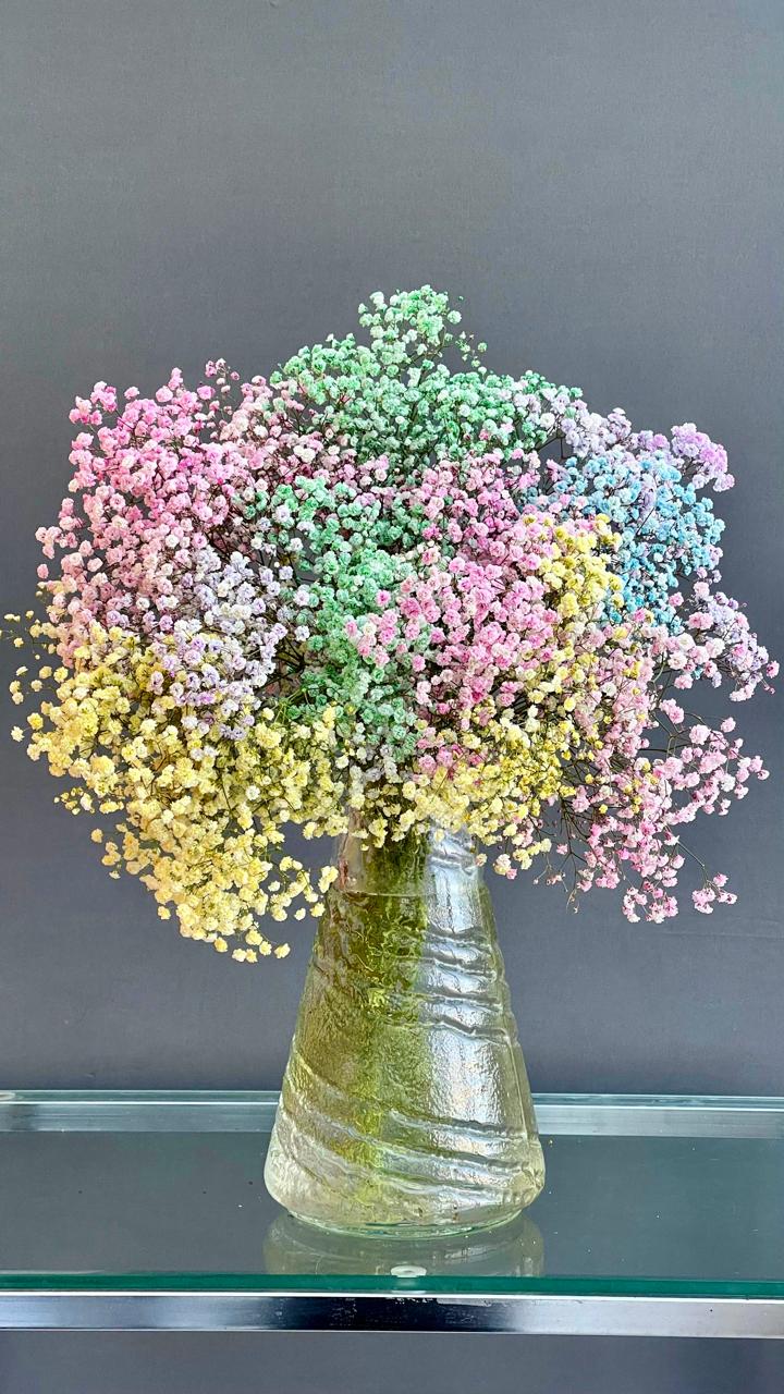 Гипсофила крашеная ветка