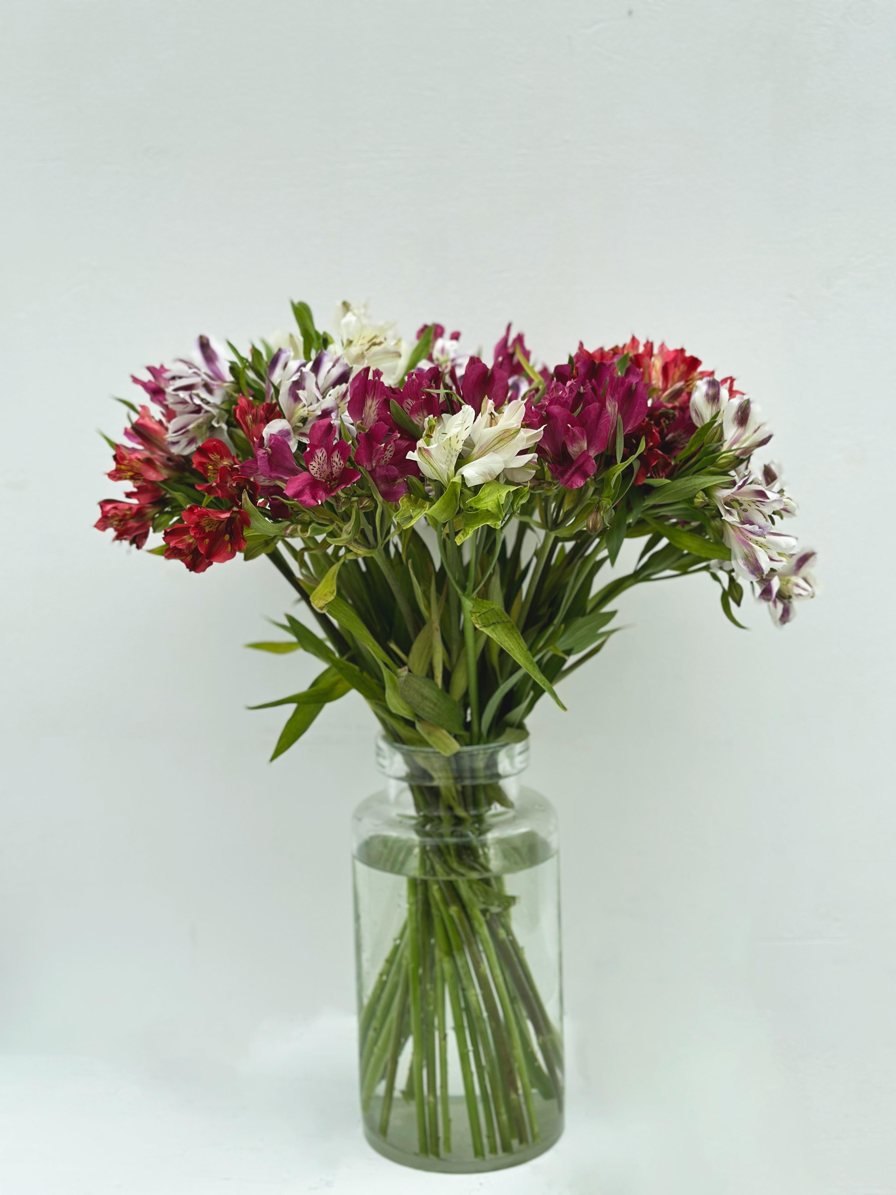 Альстромерия *Микс*