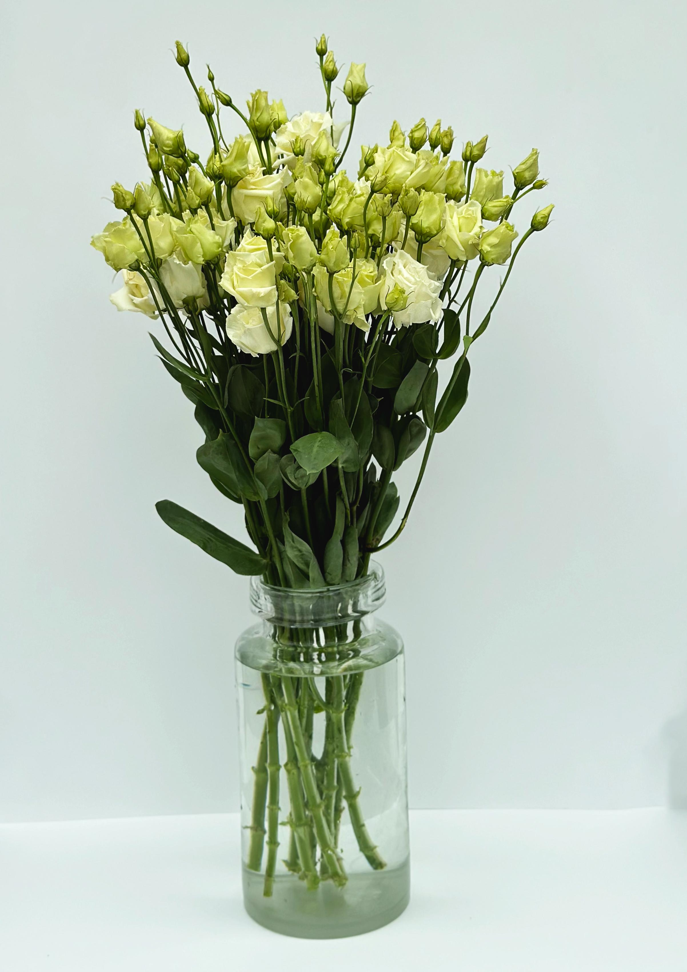 Эустома (махровая)