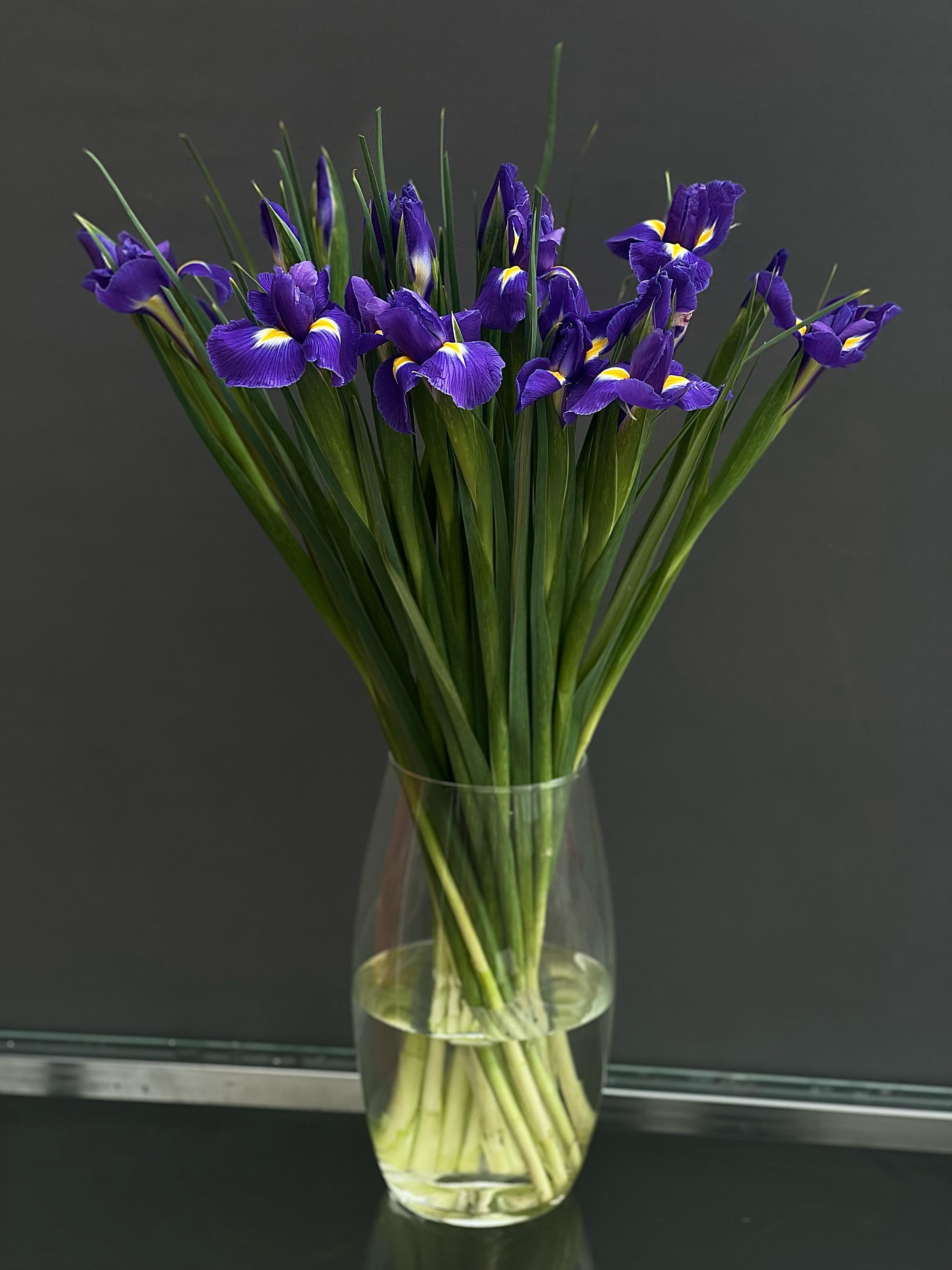 Ирис (синий)