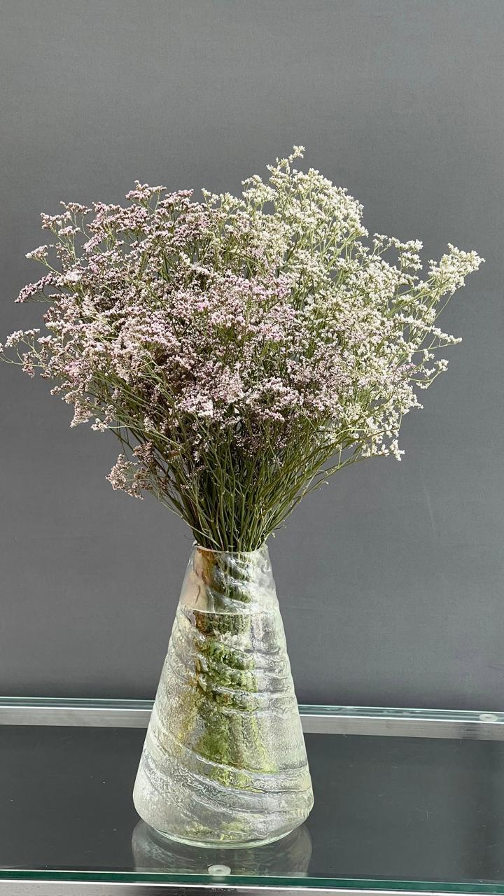 Лимониум (ветка)