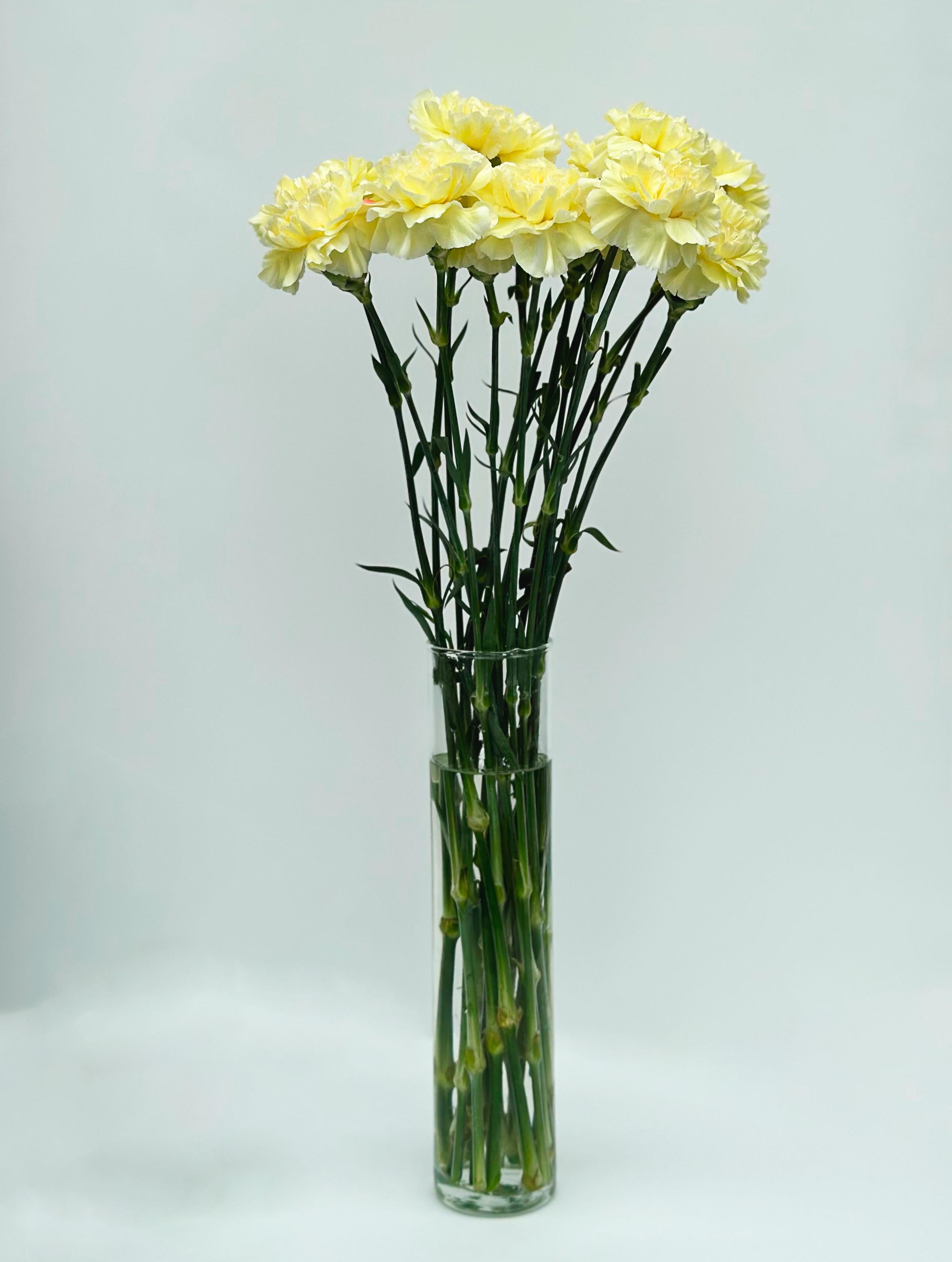 Гвоздика лимонная