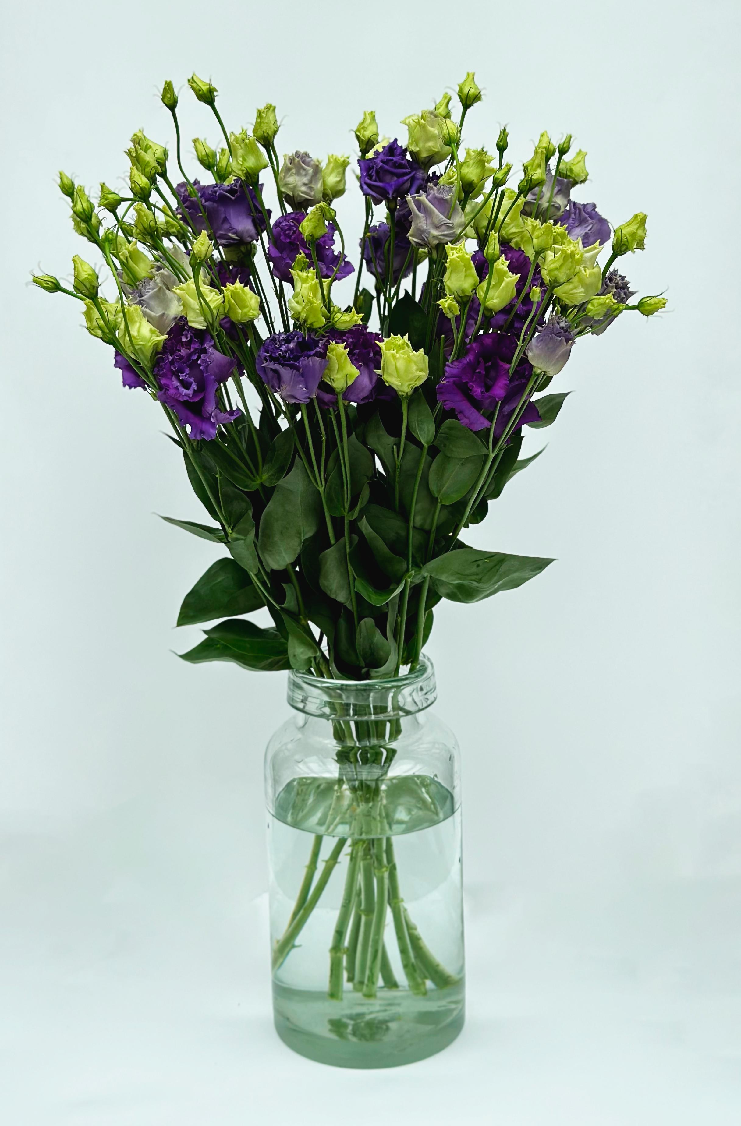 Эустома (фиолетовая)