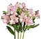 Альстромерия