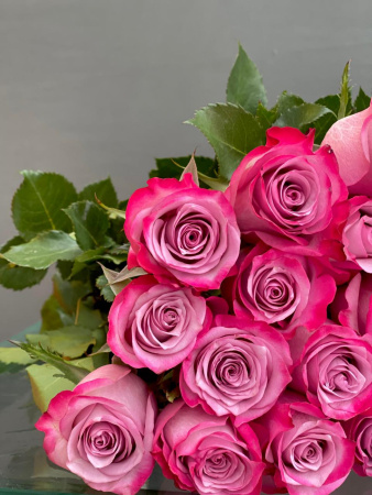 Роза Deep purple 50 см